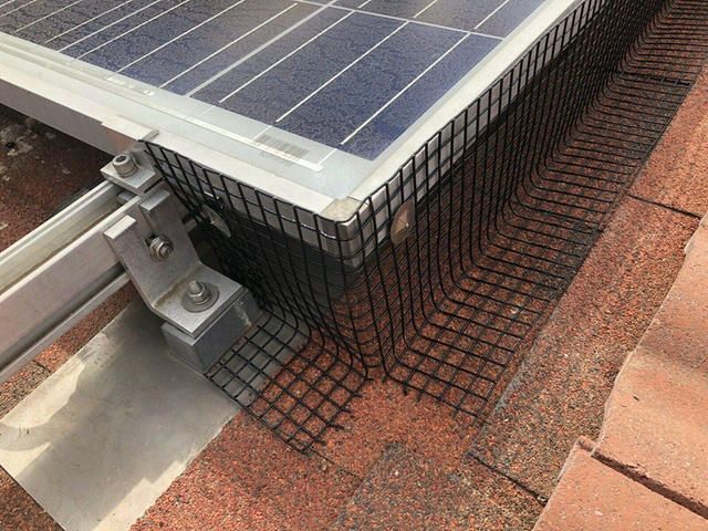 Wire mesh critter guard under a solar panel